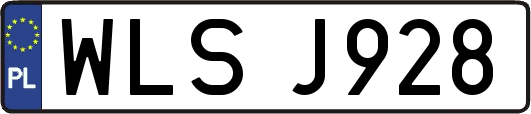 WLSJ928