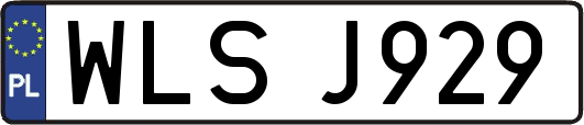 WLSJ929