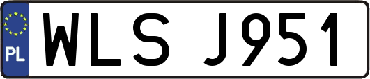 WLSJ951