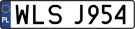 WLSJ954
