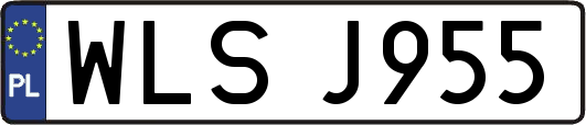 WLSJ955
