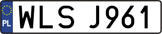 WLSJ961