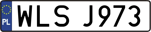 WLSJ973