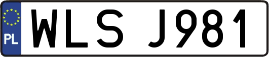 WLSJ981