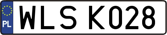 WLSK028