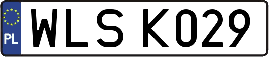 WLSK029