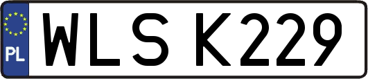 WLSK229