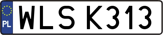 WLSK313