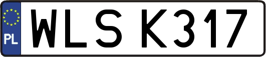 WLSK317