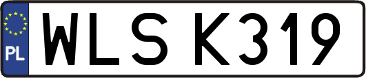 WLSK319