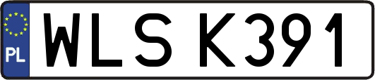 WLSK391