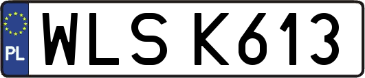 WLSK613