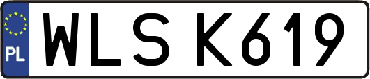WLSK619