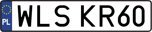 WLSKR60