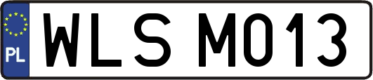 WLSM013