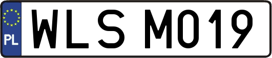 WLSM019