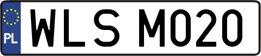 WLSM020