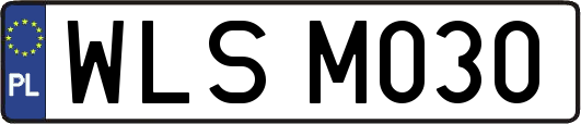 WLSM030