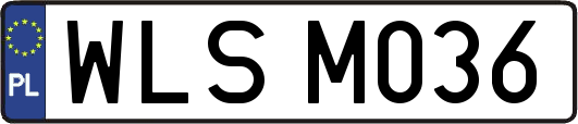 WLSM036