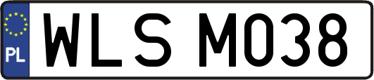 WLSM038