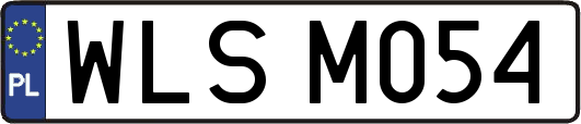 WLSM054