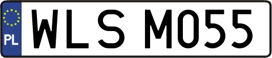 WLSM055