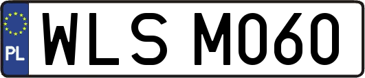 WLSM060