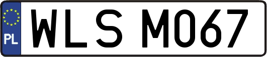 WLSM067