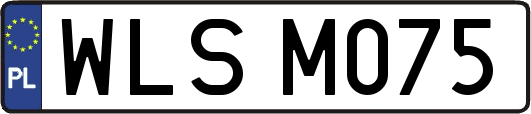 WLSM075