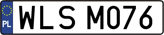 WLSM076