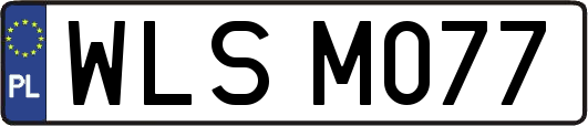 WLSM077