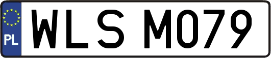 WLSM079