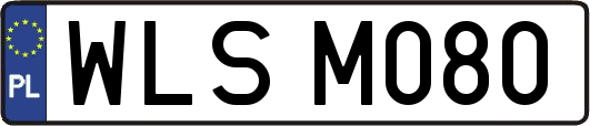 WLSM080