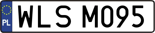 WLSM095