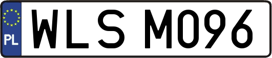 WLSM096