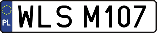 WLSM107