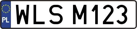 WLSM123