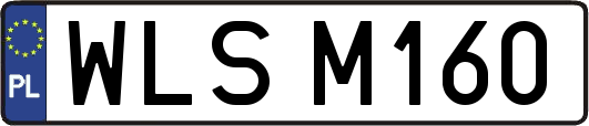 WLSM160