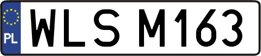 WLSM163