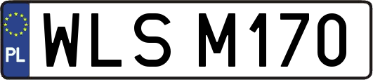 WLSM170