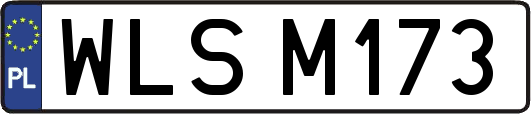 WLSM173