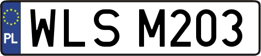 WLSM203
