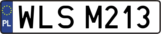 WLSM213