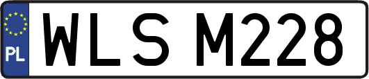 WLSM228