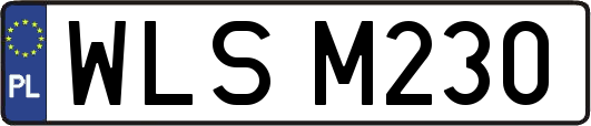 WLSM230