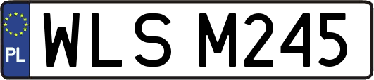 WLSM245