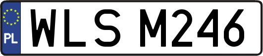 WLSM246