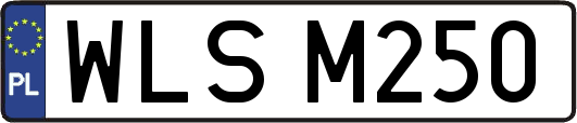 WLSM250