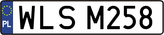 WLSM258