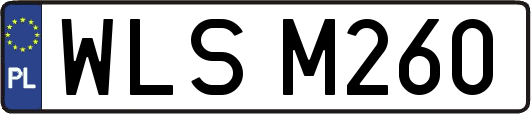 WLSM260